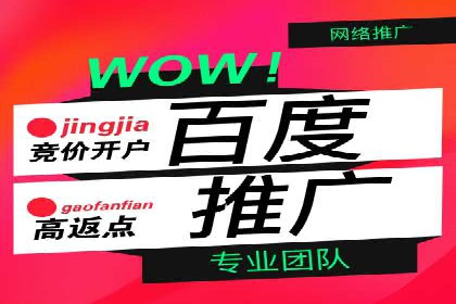 SEM主管实战技巧：案例分享与解读